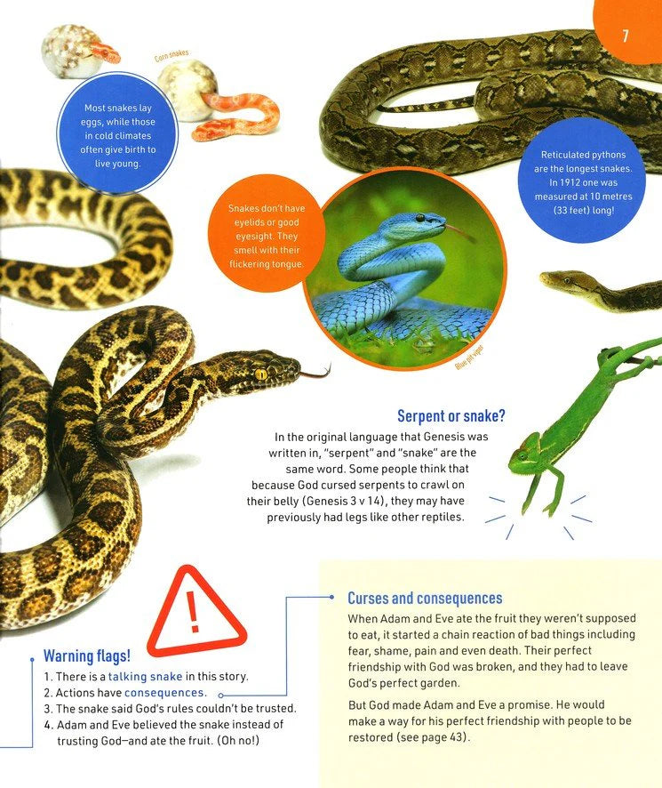 All About Bible Animals