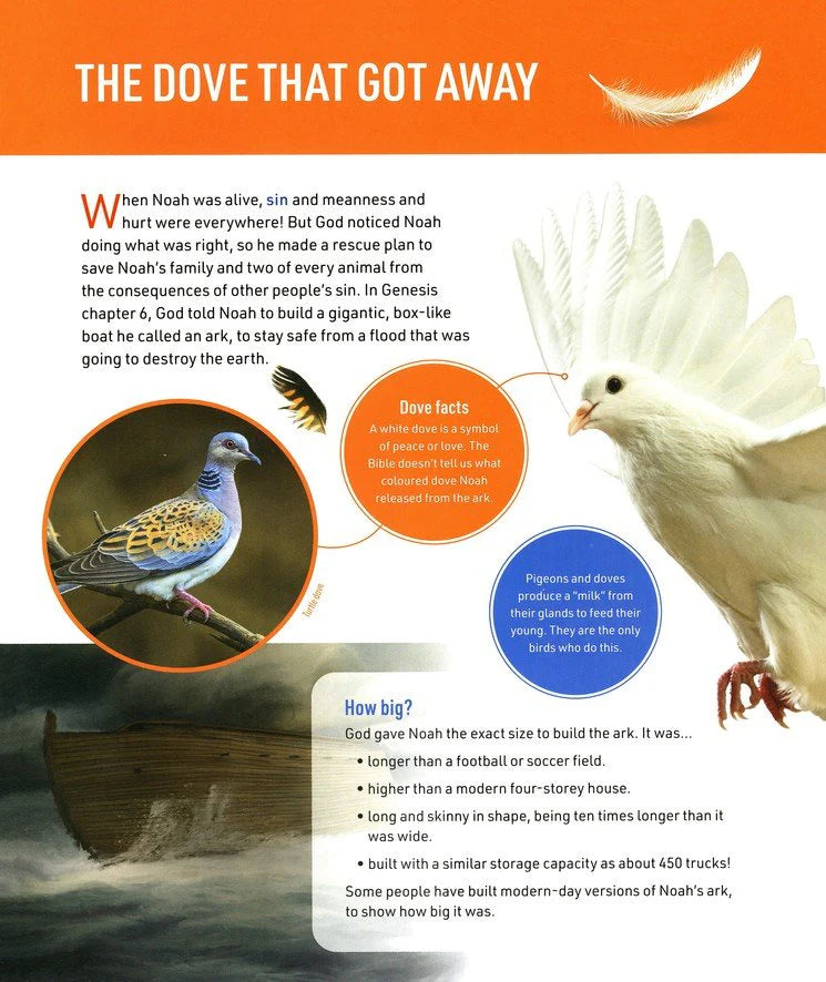 All About Bible Animals