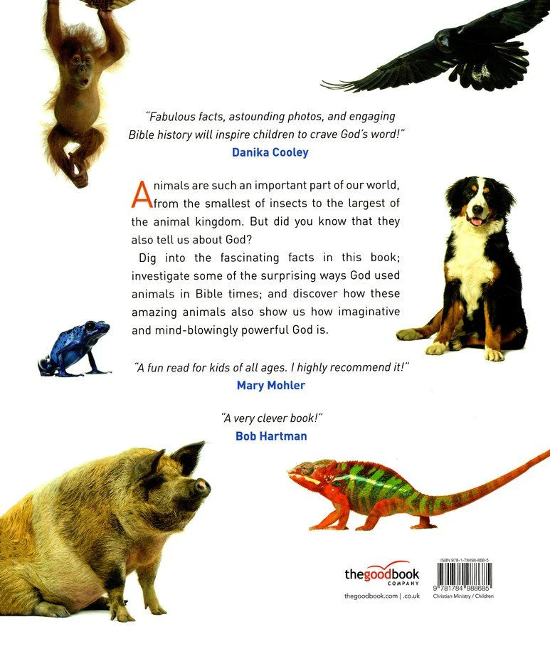 All About Bible Animals