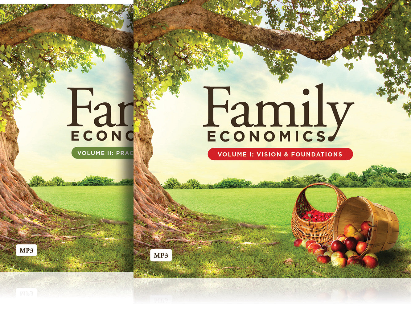 Family Economics MP3 Collection (Vol. 1 & 2)