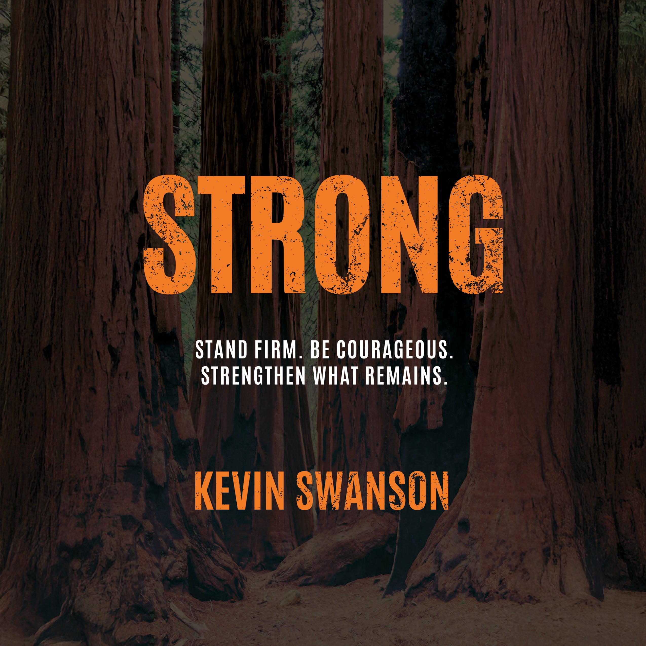 Strong - Audiobook