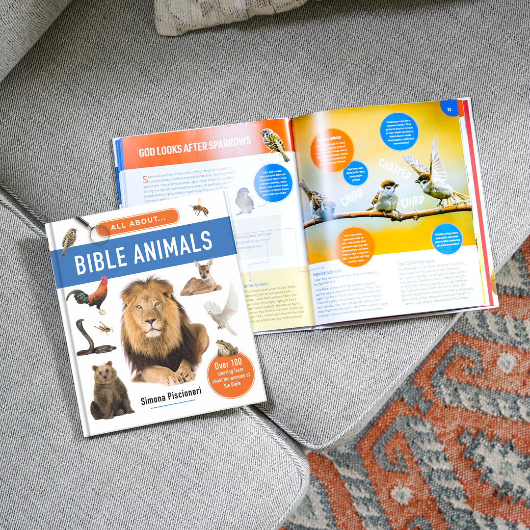 All About Bible Animals