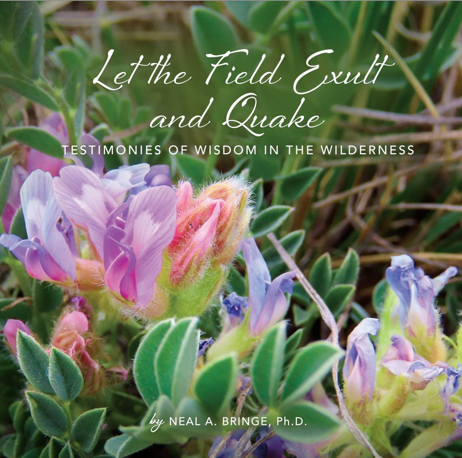 Let the Fields Exult