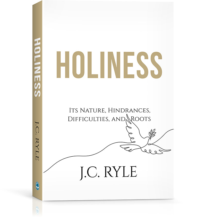 Holiness cover