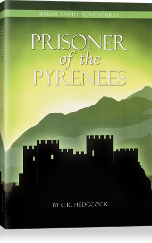 Prisoner Of The Pyrenees