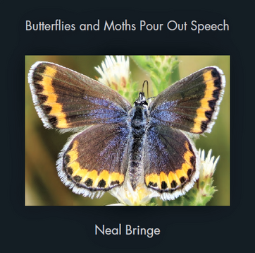 Butterflies and Moths Pour Out Speech