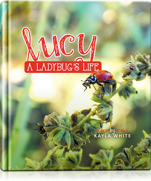 Lucy: A Ladybug's Life